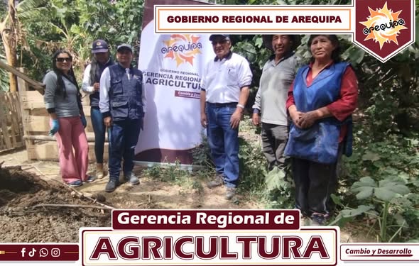 Gerencia de Promoción Agraria y el Programa Presupuestal 121, desarrolló una jornada demostrativa en el distrito de Rosario Pampa, provincia de La Unión.