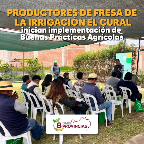  PRODUCTORES DE FRESA DE LA IRRIGACIÓN EL CURAL INICIAN IMPLEMENTACIÓN DE BUENAS PRÁCTICAS AGRÍCOLAS CON EL PROYECTO 8 PROVINCIAS Y SENASA.