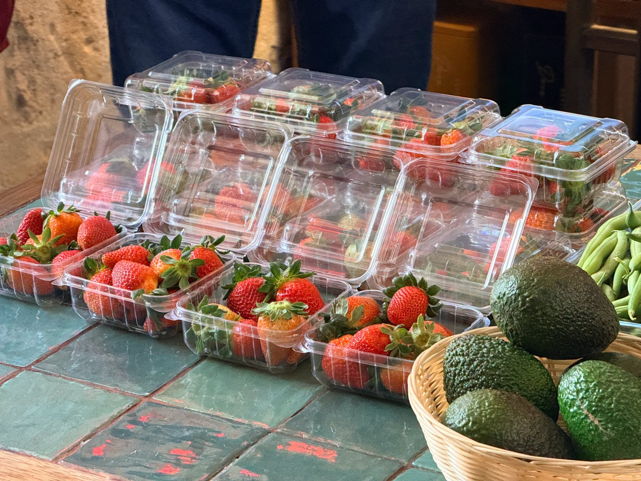 alianzaProductoresGastronomia5