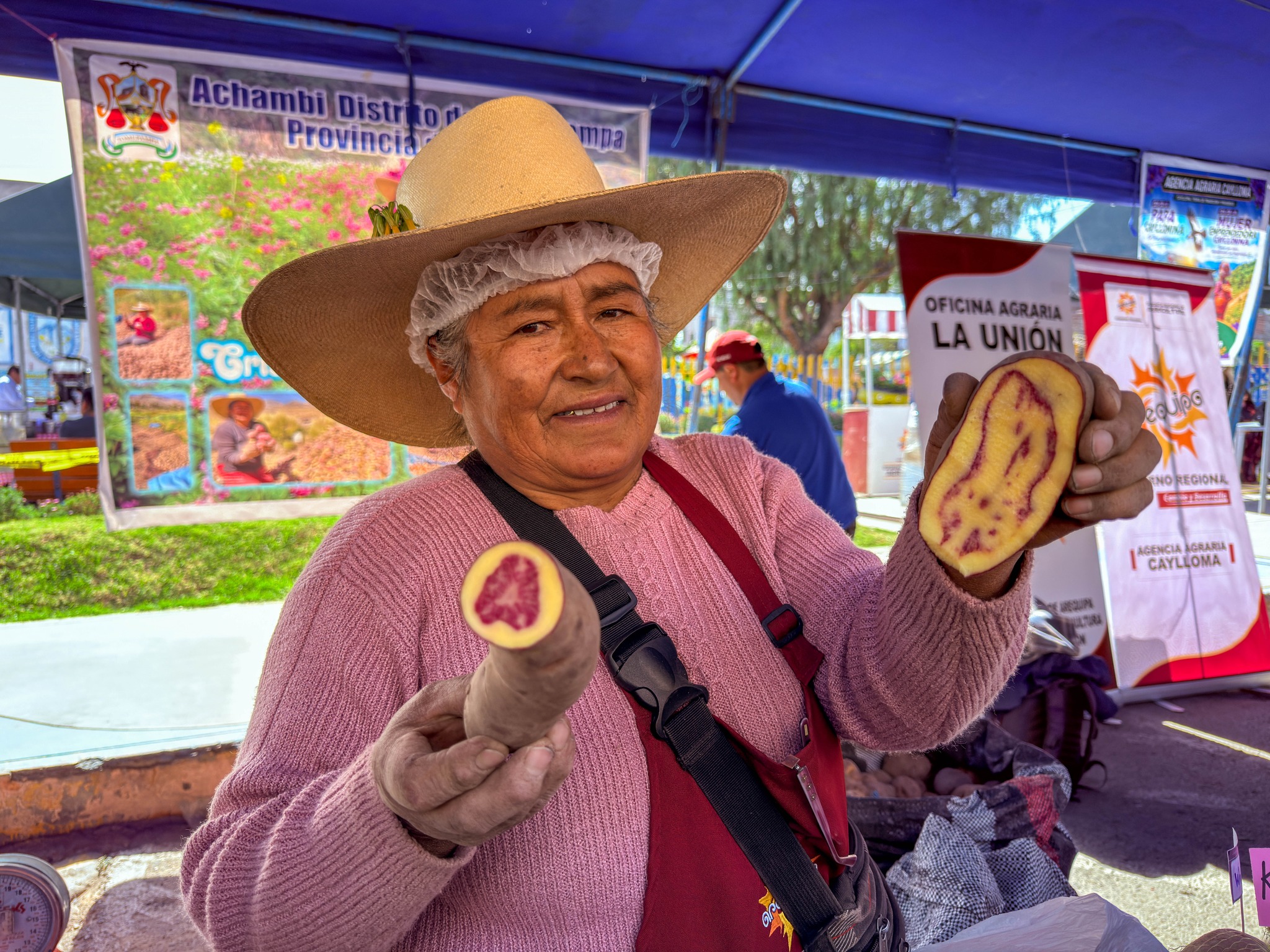 diaNacionalPapa6