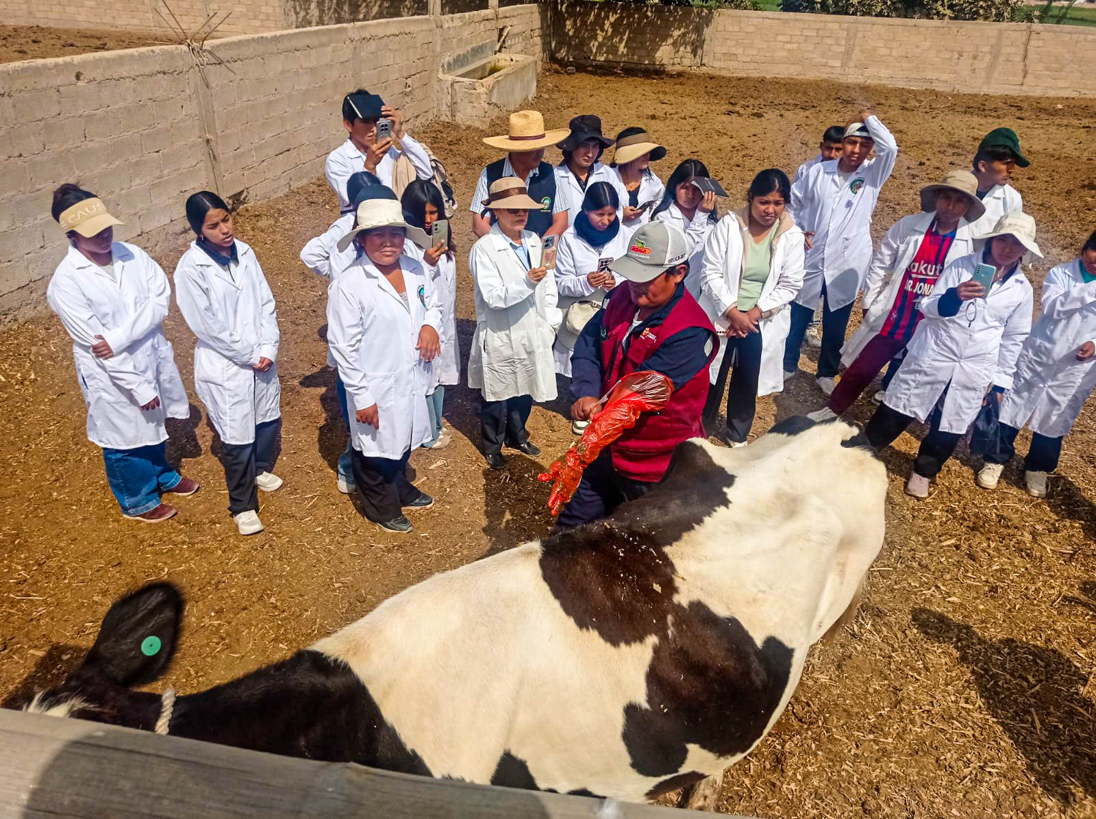 estudiantes inseminacion artificial camana3