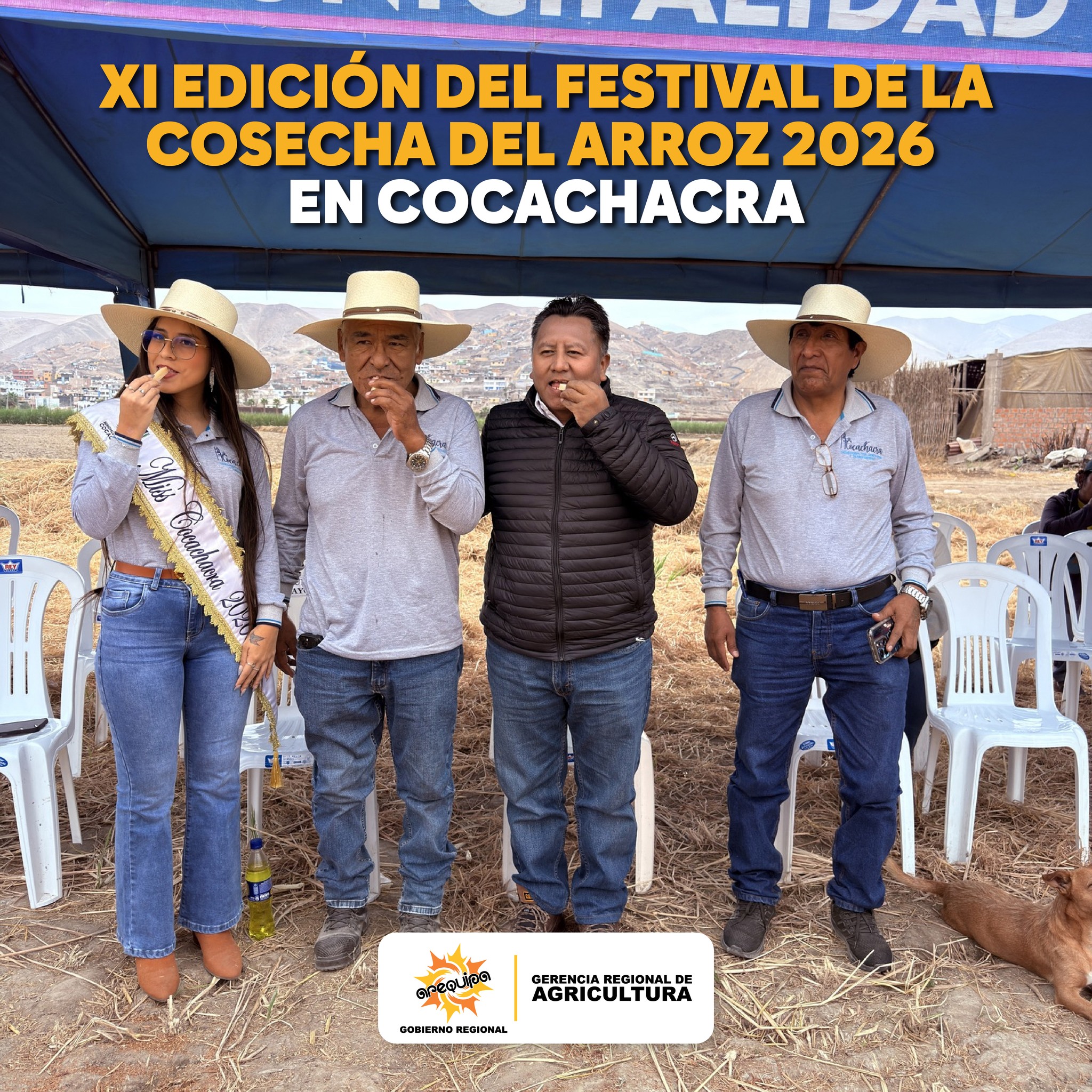 GERENTE REGIONAL DE AGRICULTURA PARTICIPÓ EN LA XI EDICIÓN DEL FESTIVAL DE LA COSECHA DEL ARROZ 2026 EN COCACHACRA