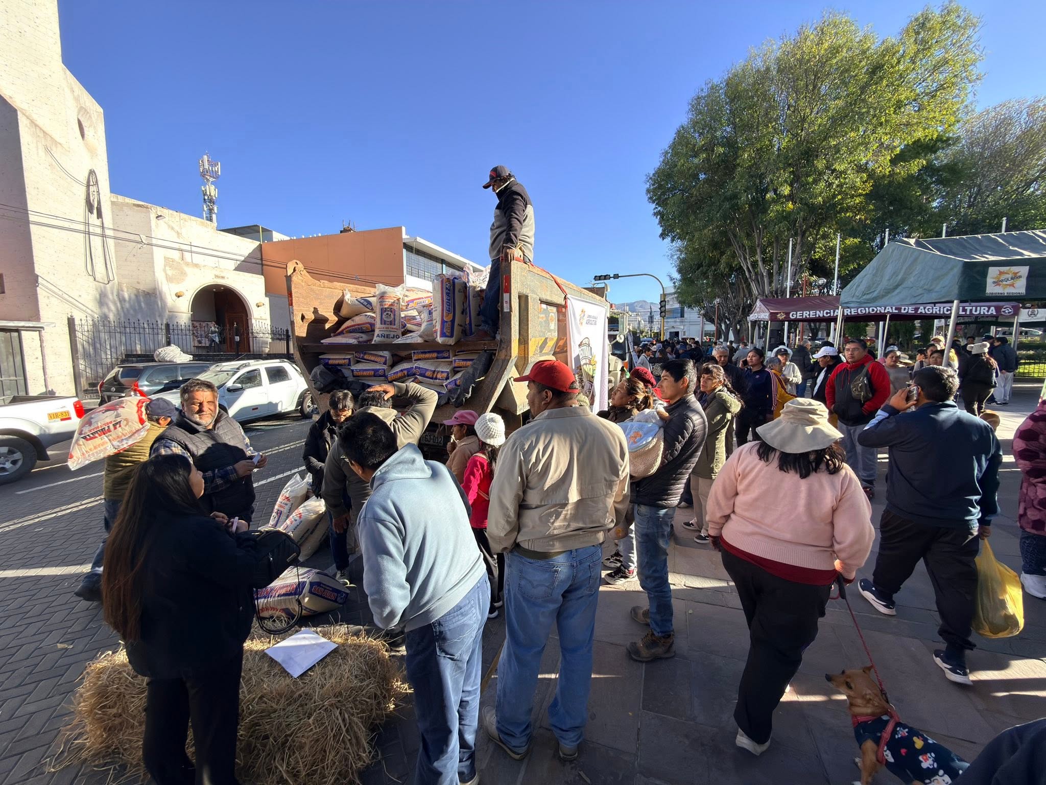 festivalArroz9