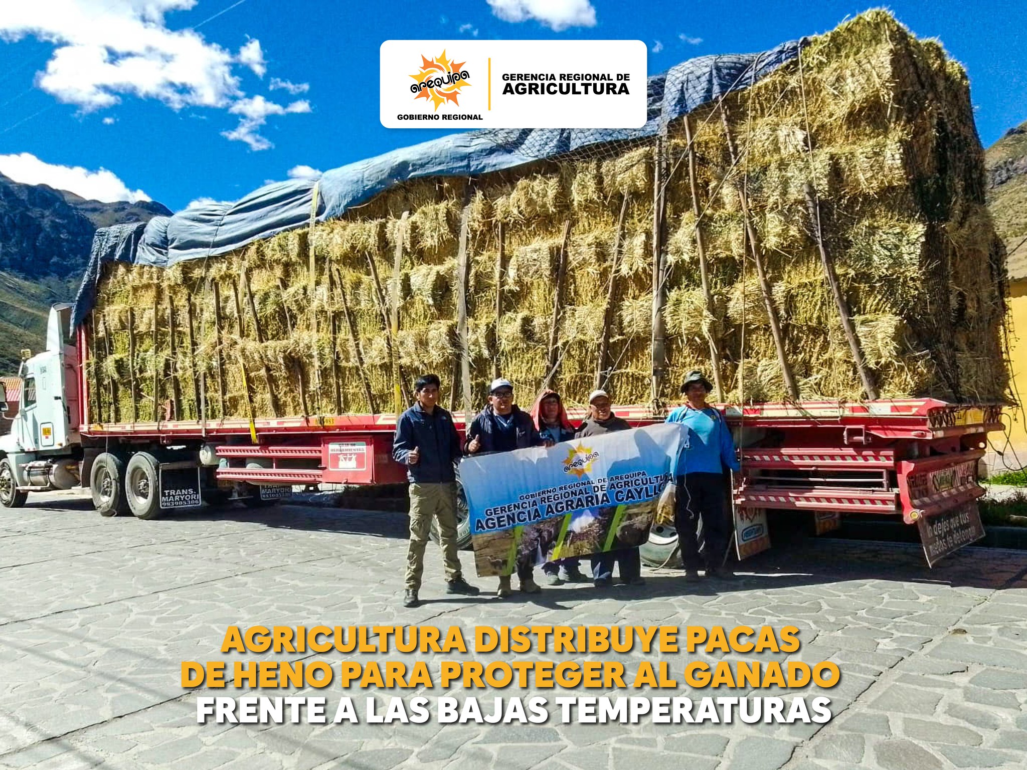 🍃GERENCIA REGIONAL DE AGRICULTURA DISTRIBUYE PACAS DE HENO PARA PROTEGER AL GANADO FRENTE A LAS BAJAS TEMPERATURAS
