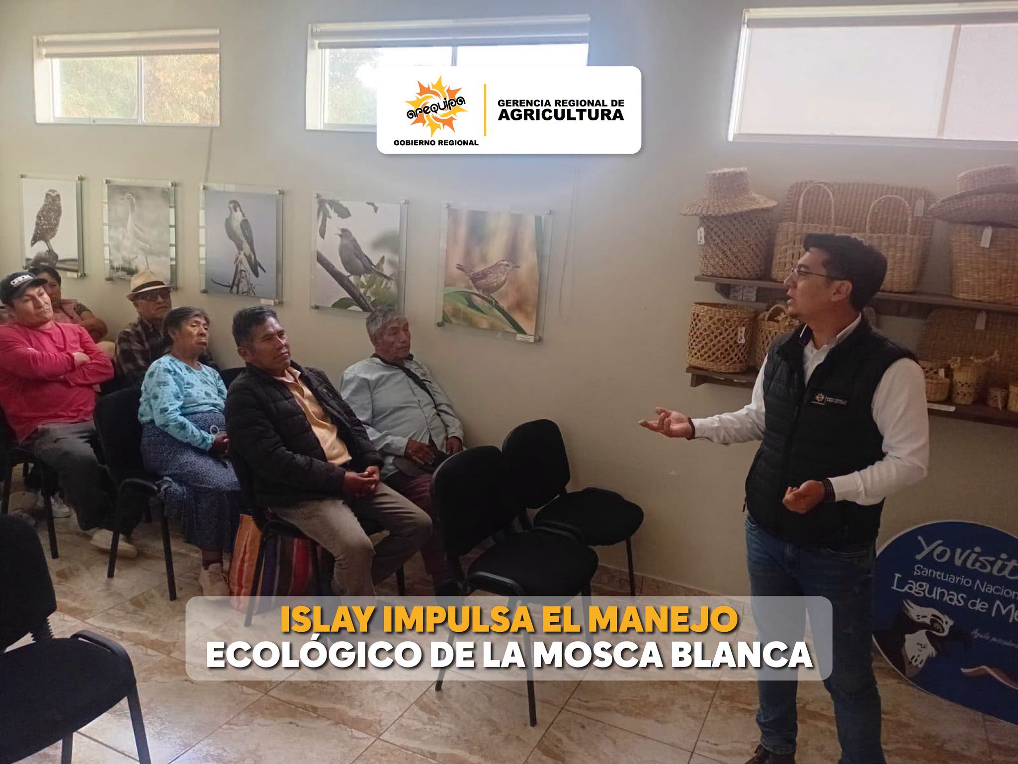 Agencia Agraria de Islay fortalece capacidades para el control ecológico de la mosca blanca