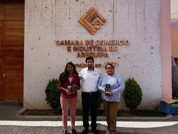 ofertas proyecto olivo