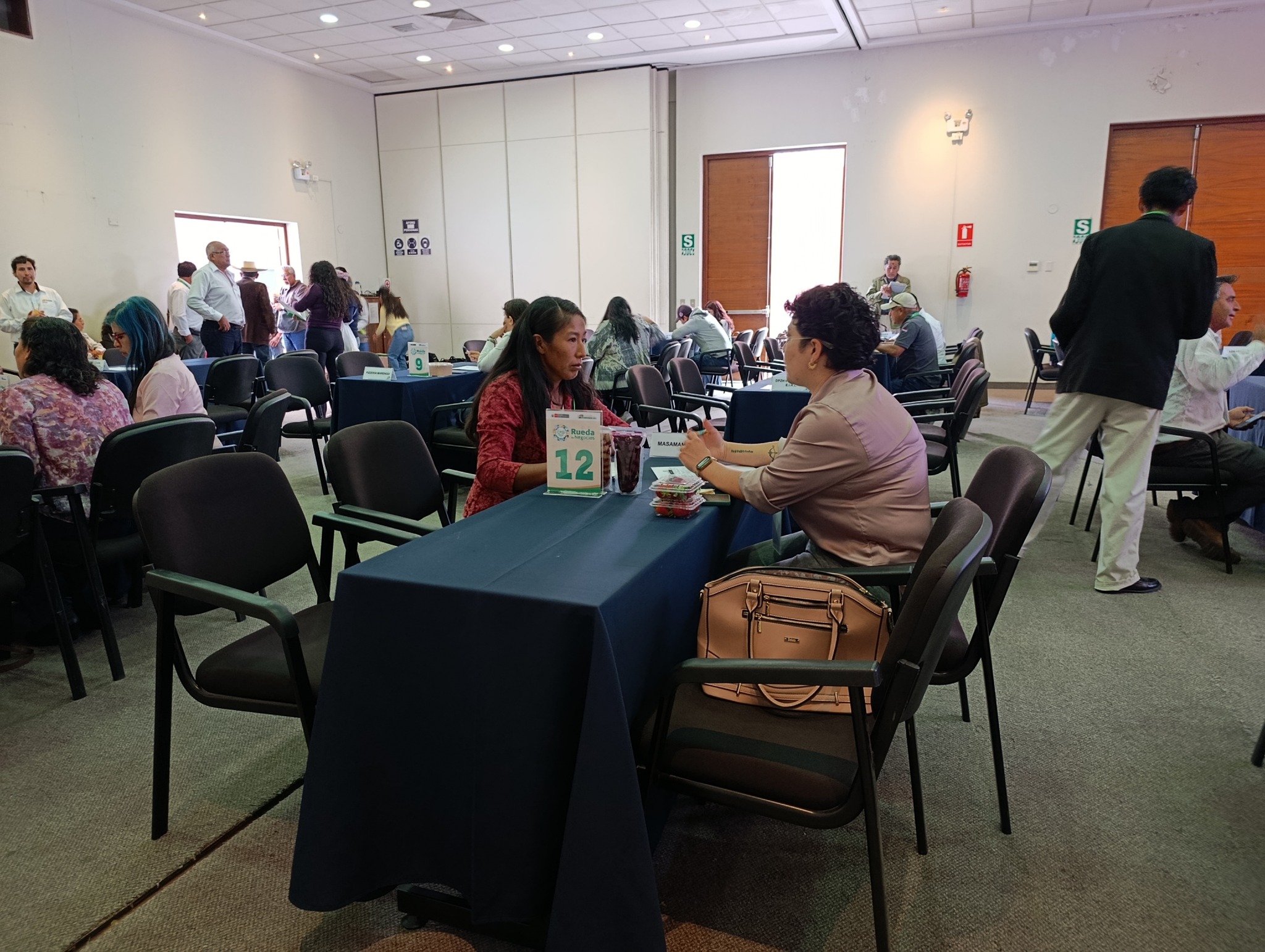 ofertas proyecto olivo3