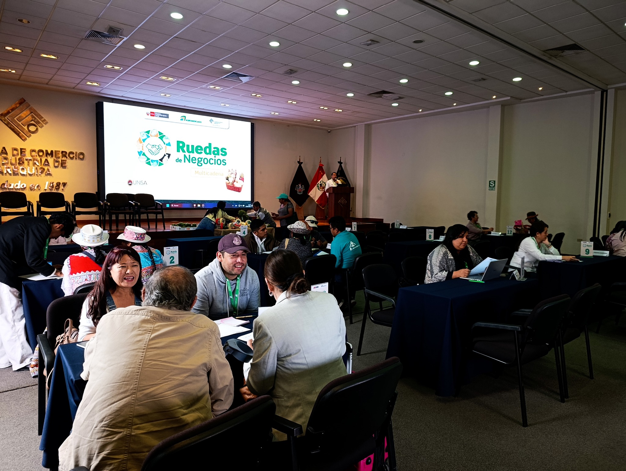 ofertas proyecto olivo4