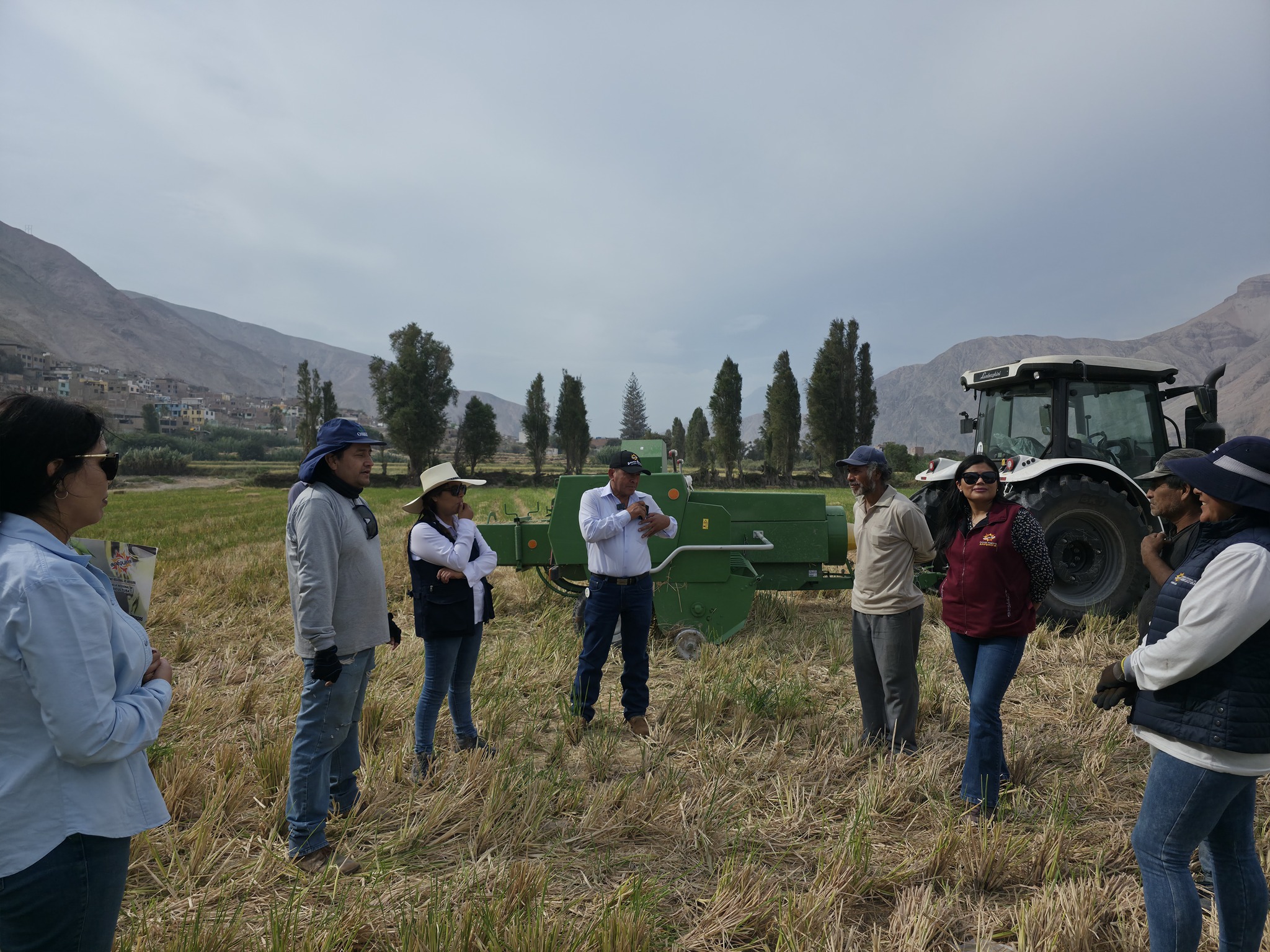 proyecto arroz castilla supervision1