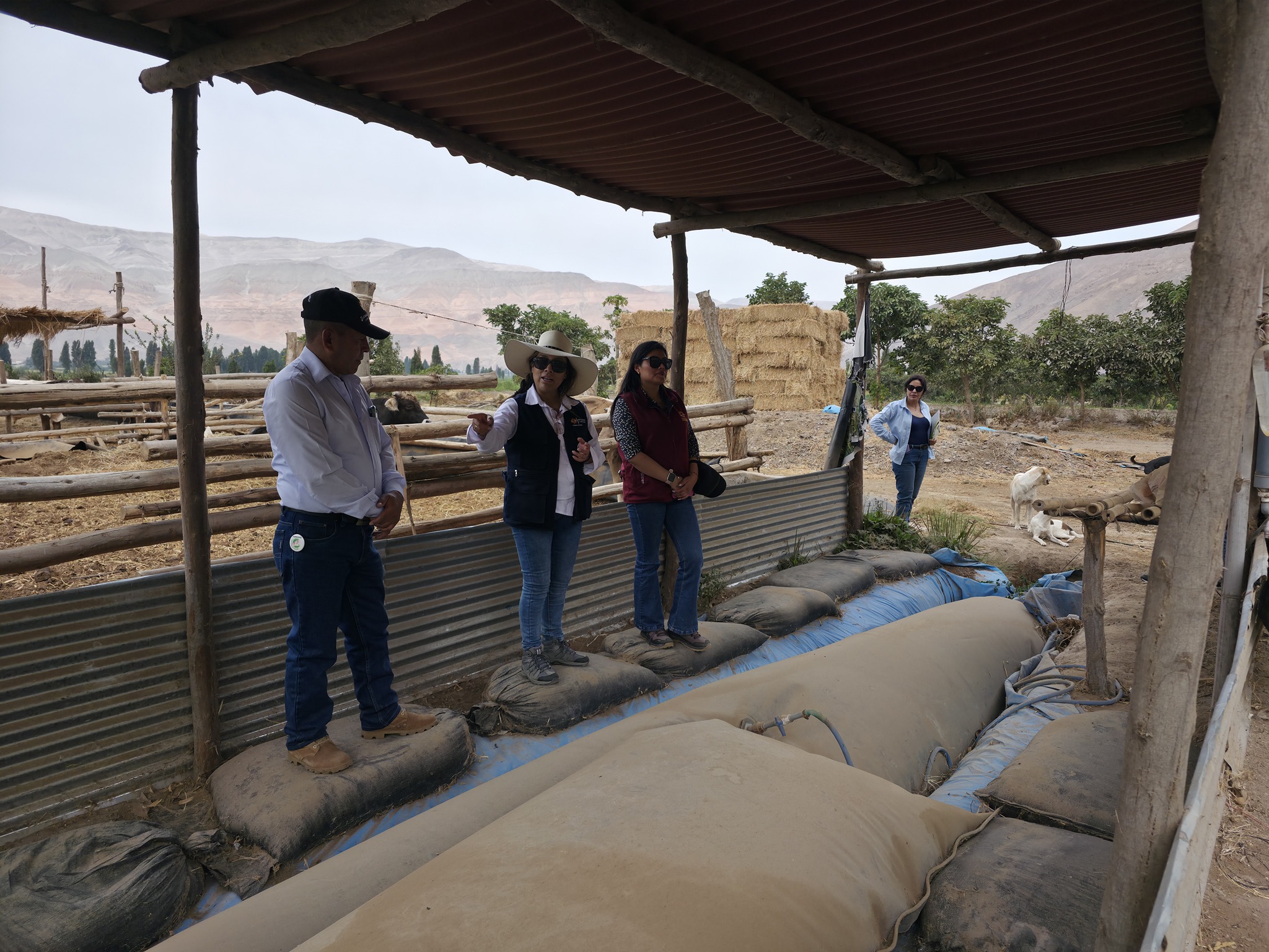 proyecto arroz castilla supervision2